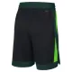 Pantalones Boston Celtics City Edition 2024-25 Swingman para Hombre