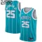 Camiseta Charlotte Hornets PJ Washington 25 Icon Edition Swingman para Niño