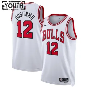 Camiseta Chicago Bulls Ayo Dosunmu 12 Association Edition Blanco Swingman para Niño