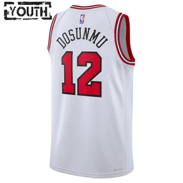 Camiseta Chicago Bulls Ayo Dosunmu 12 Association Edition Blanco Swingman para Niño