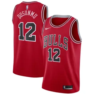 Camiseta Chicago Bulls Ayo Dosunmu 12 Icon Edition Rojo Swingman para Hombre