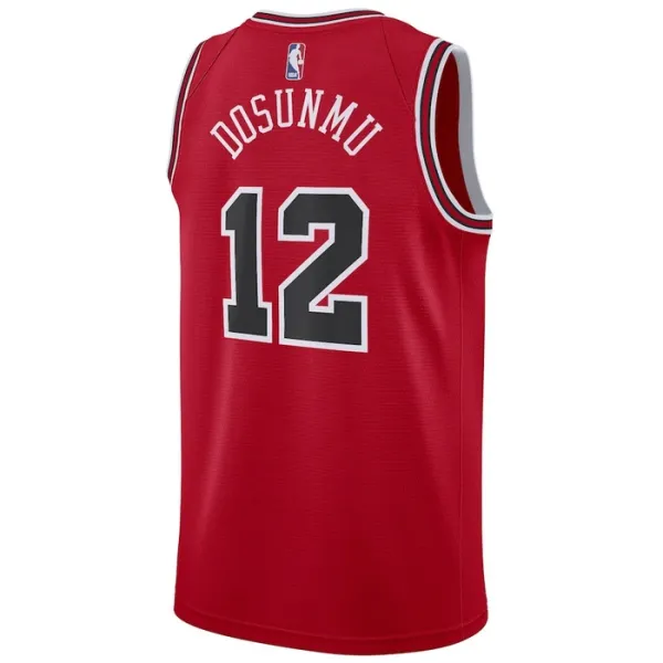 Camiseta Chicago Bulls Ayo Dosunmu 12 Icon Edition Rojo Swingman para Hombre