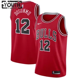 Camiseta Chicago Bulls Ayo Dosunmu 12 Icon Edition Rojo Swingman para Niño