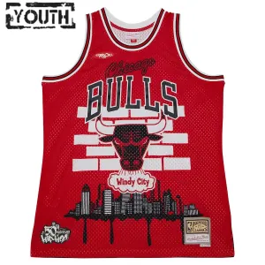 Camiseta Chicago Bulls Mitchell Ness x Tats Cru Edition Hardwood Classics 2023-24 Rojo Swingman para Niño