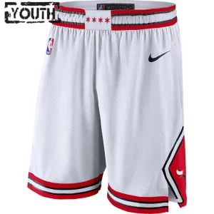 Pantalones Chicago Bulls Association Edition Swingman para Niño