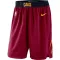 Pantalones Cleveland Cavaliers Icon Edition Swingman para Hombre
