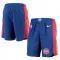 Pantalones Detroit Pistons Icon Edition Swingman para Hombre
